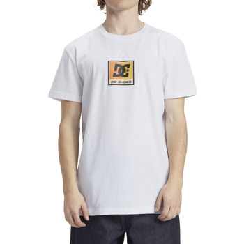 Vêtements Homme T-shirts manches courtes DC Shoes below Racer Blanc