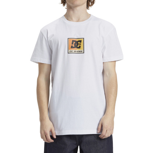 Vêtements Homme T-shirts manches courtes DC Shoes Racer Blanc
