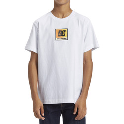 Vêtements Garçon T-shirts manches courtes DC Shoes Mesh Racer Blanc