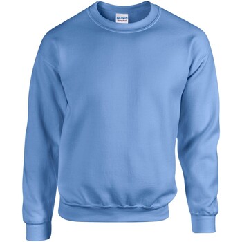 Vêtements Homme Sweats Gildan GD56 Bleu