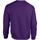 Vêtements Homme Sweats Gildan GD56 Violet