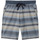 Vêtements Homme Shorts / Bermudas Quiksilver Great Otway Beige