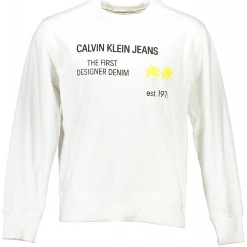 Vêtements Homme Sweats Calvin Klein Jeans J30J318173 Blanc