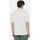 Vêtements Homme T-shirts & Polos Dickies Aitkin chest tee ss Blanc
