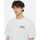 Vêtements T-shirts & Polos Dickies Aitkin chest tee ss Blanc