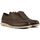 Chaussures Homme Derbies Cole Haan Zerogrand Wing Oxford Chaussures À Lacets Marron