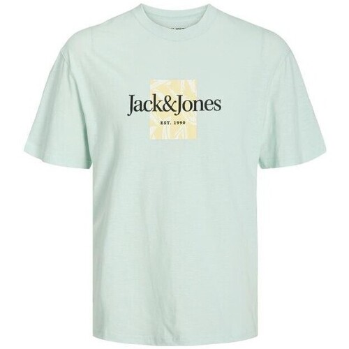 Vêtements Homme T-shirts manches courtes Jack & Jones 12250436 JORLAFAYETTE Vert