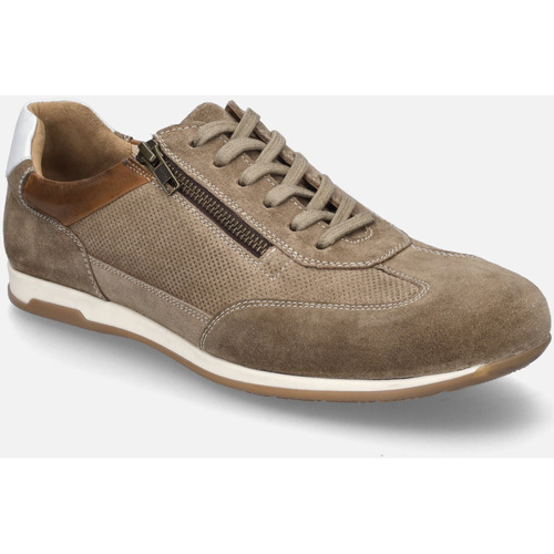 Chaussures Homme Salle à manger Josef Seibel Colby 03, taupe-multi Beige
