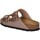 Chaussures Femme Sandales et Nu-pieds Birkenstock 1023960 Orange