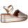 Chaussures Femme Sandales et Nu-pieds Coco & Abricot mimizan v2708 Doré