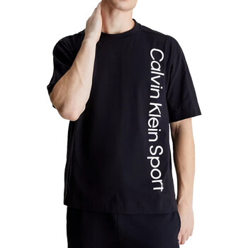 Vêtements Homme T-shirts manches courtes Calvin Klein Jeans 00GMS4K173 Noir