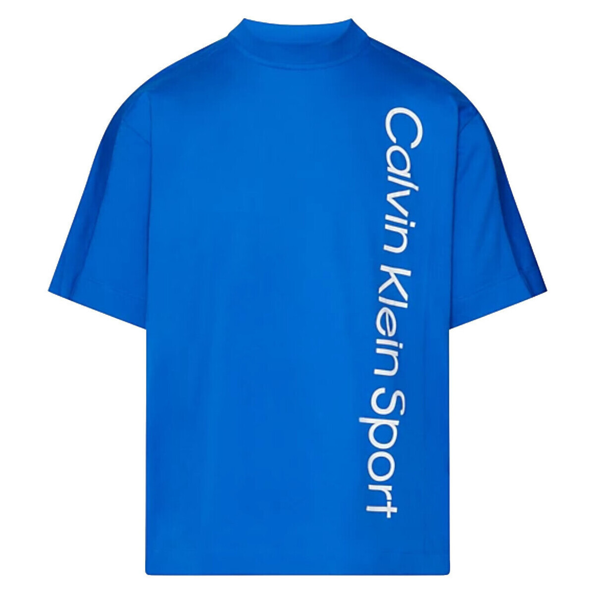 Vêtements Homme T-shirts manches courtes Calvin Klein Jeans 00GMS4K173 Bleu