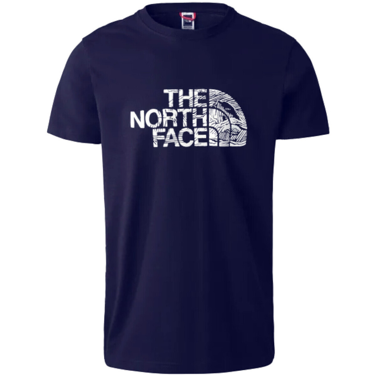 Vêtements Homme T-shirts manches courtes The North Face NF0A87NX Bleu