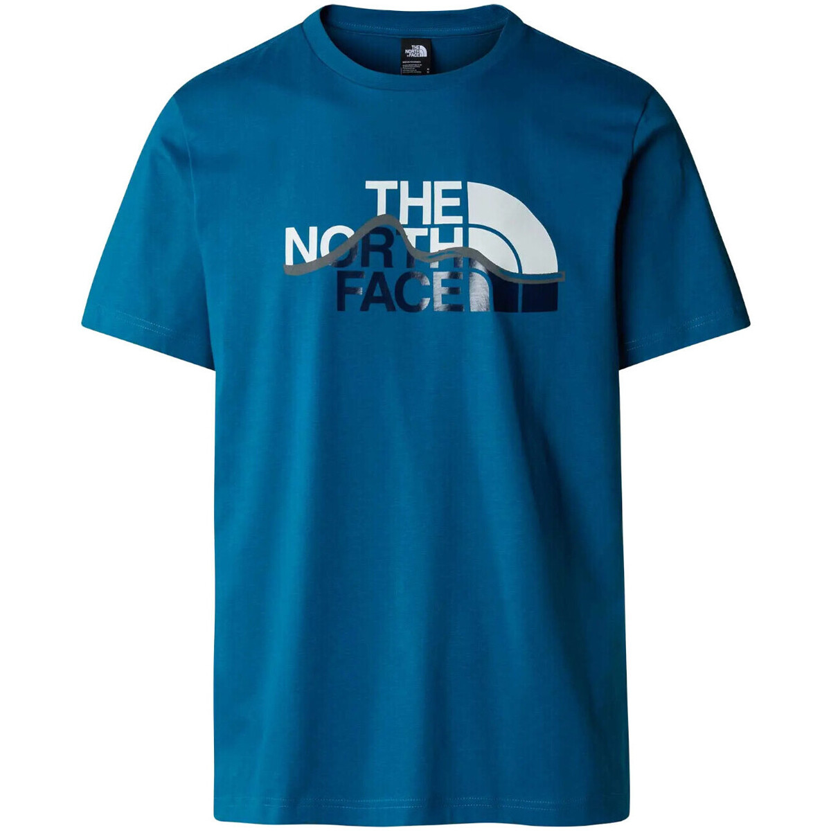 Vêtements Homme T-shirts manches courtes The North Face NF0A87NT Bleu