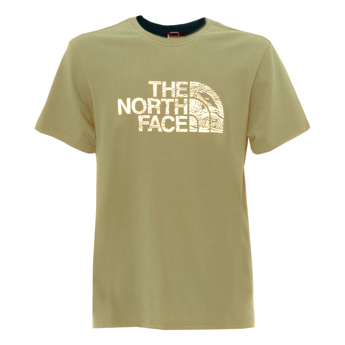 Vêtements Homme T-shirts manches courtes The North Face NF0A87NX Beige