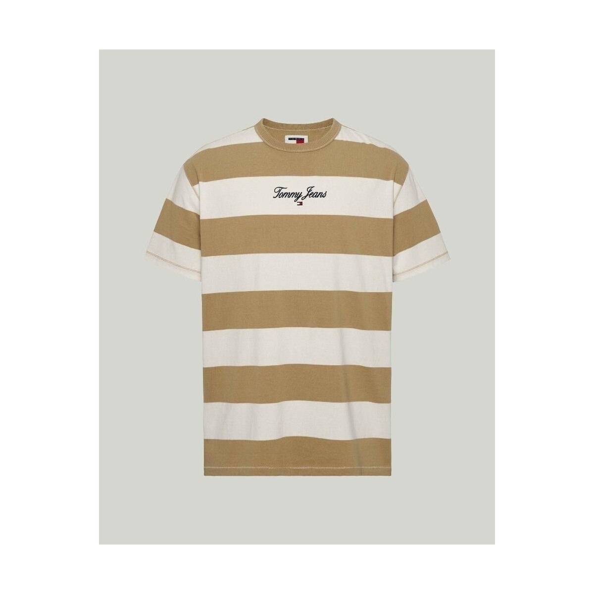 Vêtements Homme T-shirts manches courtes Tommy Hilfiger DM0DM18655AB0 Marron