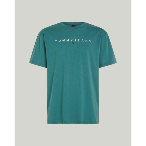 Vêtements Homme T-shirts Sixth manches courtes Tommy Hilfiger DM0DM17993CT0 Vert
