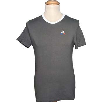Vêtements Homme T-shirts & Polos Le Coq Sportif 34 - T0 - XS Gris