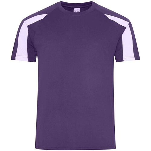 Vêtements Homme T-shirts manches longues Awdis Cool JC003 Violet