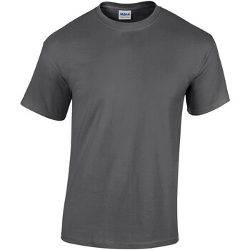Vêtements Homme T-shirts manches longues Gildan GD05 Gris