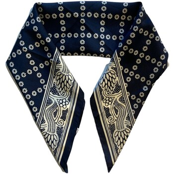 Accessoires textile Femme Echarpes / Etoles / Foulards Emme Marella 24155410312 Bleu