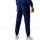 Vêtements Homme Pantalons de survêtement Lacoste Pantalon de survêtement Bleu