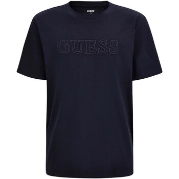 Vêtements Homme T-shirts manches courtes Guess Z2YI11 J1314 Bleu