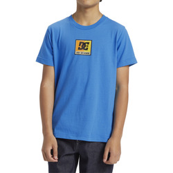 Vêtements Garçon T-shirts manches courtes DC Shoes arrangement Racer Bleu