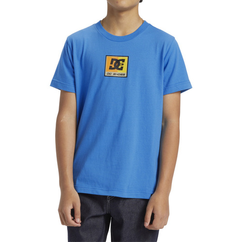 Vêtements Garçon T-shirts manches courtes DC Shoes ltpk Racer Bleu