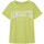 Vêtements Garçon T-shirts manches courtes Name it 13226107 Vert