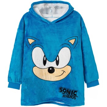 Vêtements Garçon Sweats Sonic The Hedgehog NS7255 Bleu