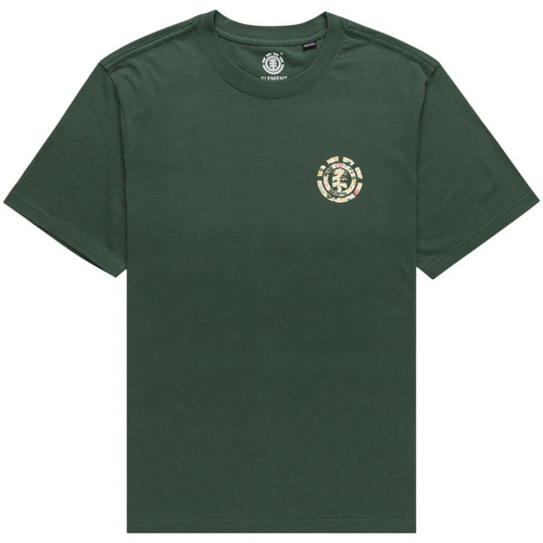 Vêtements Homme T-shirts & Polos Element Saturn Fiill Vert