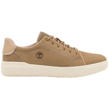 Chaussures Homme Baskets mode Timberland SENECA BAY LOW LACE UP Beige
