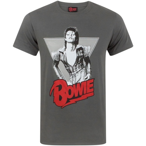Vêtements Homme T-shirts manches longues David Bowie NS4376 Gris