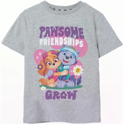 Vêtements Fille T-shirts manches longues Paw Patrol Pawsome Friendships Gris