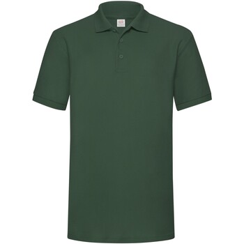 Vêtements Homme T-shirts & Polos Fruit Of The Loom SS27 Vert