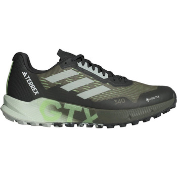 Chaussures Homme Running / trail adidas Originals TERREX AGRAVIC FLOW 2 GTX Vert