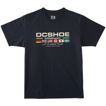 Vêtements Homme T-shirts manches courtes DC Shoes Worldwide Bleu