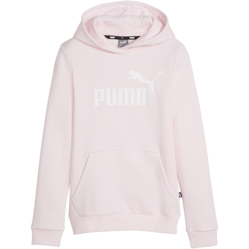Vêtements Fille Sweats Puma Puma Phase Blocking  Junior Ess Logo Rose
