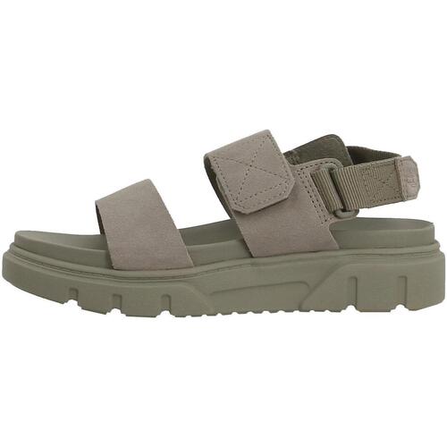 Chaussures Femme Sandales et Nu-pieds Timberland anti-fatigue Greyfield sandal 2 strap Beige