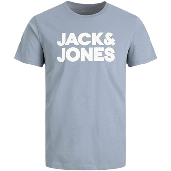 Vêtements Garçon T-shirts manches courtes Jack & Jones 12255501 Bleu
