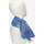 Accessoires textile Femme Echarpes / Etoles / Foulards Alviero Martini KS315-5025-0186 Bleu