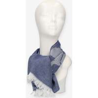 Accessoires textile Femme Echarpes / Etoles / Foulards Alviero Martini KS314-5025-0185 Bleu