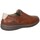 Chaussures Homme Baskets mode Luisetti BASKETS  32310 Marron