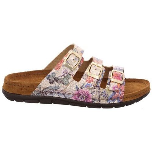 Chaussures Femme Duck And Cover Rohde Rodigo-D Multicolore