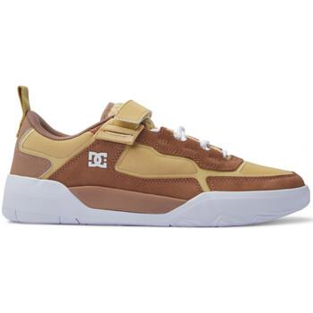 Chaussures Chaussures de Skate DC Shoes METRIC X WILL brown tan Marron