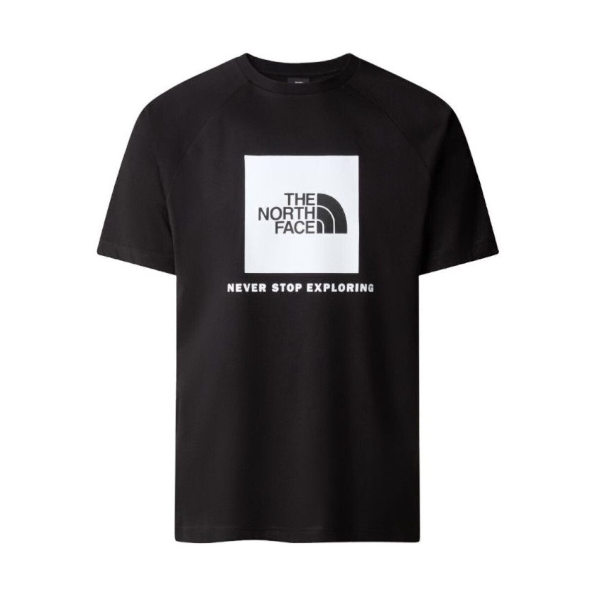 Vêtements Homme T-shirts manches courtes The North Face NF0A87NJ Noir