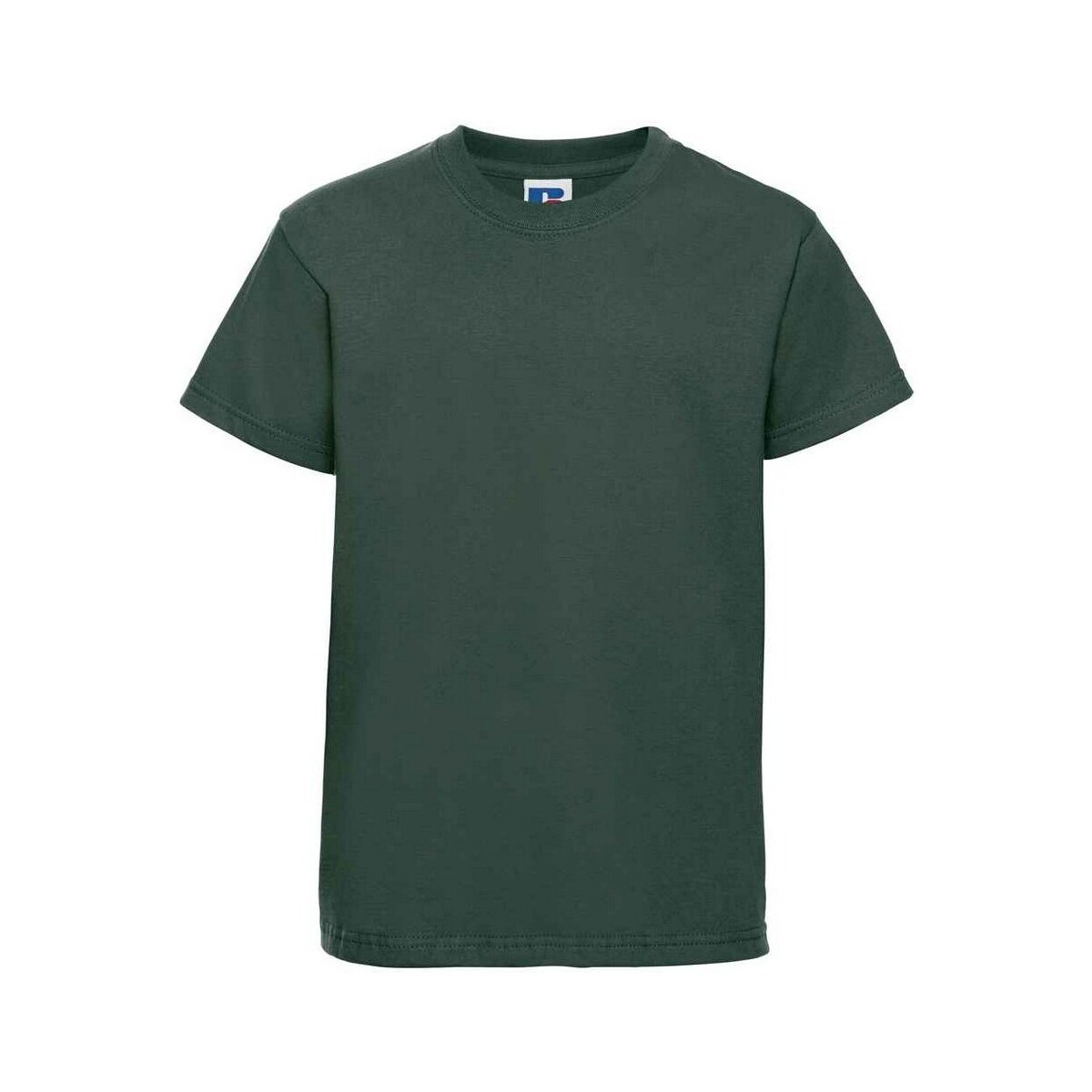 Vêtements Enfant T-shirts manches courtes Jerzees Schoolgear Classic Vert