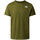 Vêtements Homme T-shirts manches courtes The North Face NF0A8830 Vert