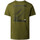 Vêtements Homme T-shirts manches courtes The North Face NF0A8830 Vert